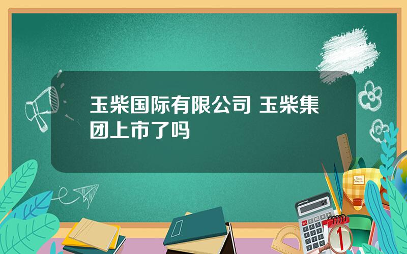 玉柴国际有限公司 玉柴集团上市了吗